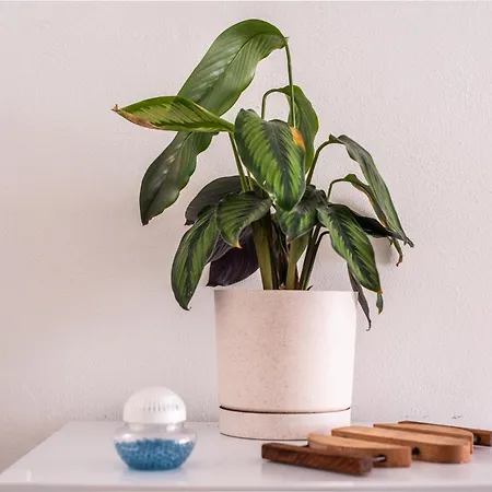 Apartament 90mq In Centro 5min Dal Mare Recco