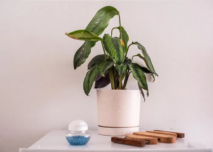 Διαμέρισμα 90mq In Centro 5min Dal Mare Recco